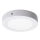 Rabalux - Світлодіодний стельовий світильник LED/12W/230V