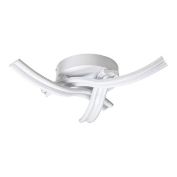 Rabalux - Світлодіодний стельовий світильник LED/40W/230V