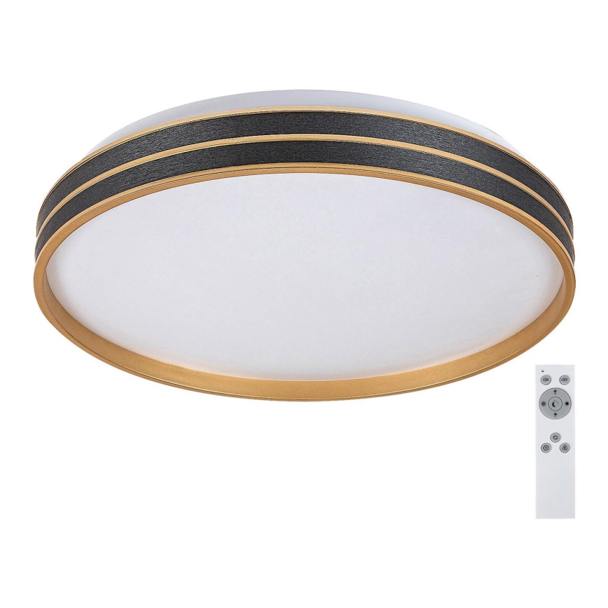 Rabalux - Світлодіодний стельовий світильник з регулюванням яскравості LED/24W/230V 3000-6500K + пульт дистанційного керування