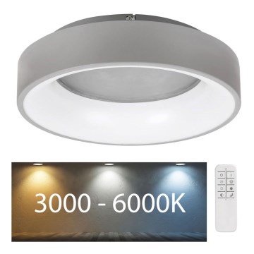 Rabalux - Світлодіодний стельовий світильник з регулюванням яскравості LED/24W/230V круглий 3000-6000K + пульт дистанційного керування