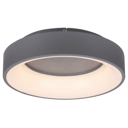 Rabalux - Світлодіодний стельовий світильник з регулюванням яскравості LED/24W/230V круглий 3000-6000K + пульт дистанційного керування