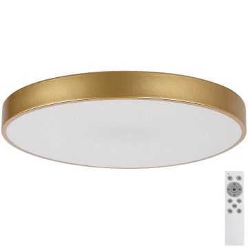 Rabalux - Світлодіодний стельовий світильник з регулюванням яскравості LED/60W/230V 3000-6000K + дистанційне керування