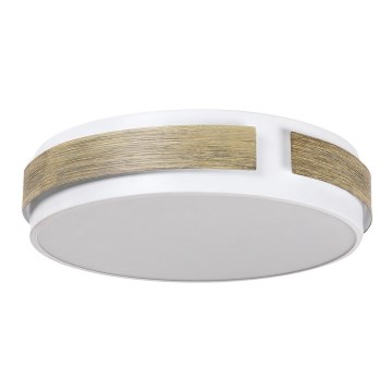 Rabalux - Світлодіодний стельовий світильник з регульованою яскравістю LED/24W/230V