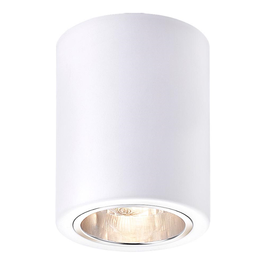 Rabalux - Точечный светильник 1xE27/25W/230V белый