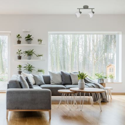 Rabalux - Точечный светильник 2xE14/40W/230V