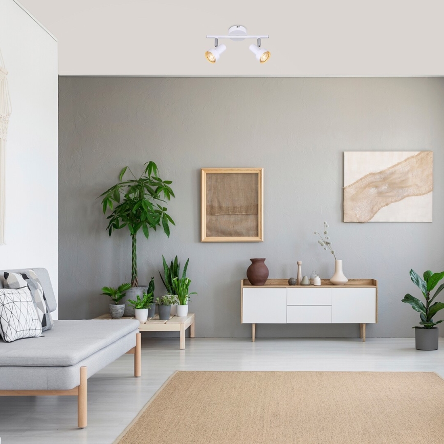 Rabalux - Точечный светильник 2xGU10/50W/230V