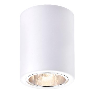 Rabalux - Точковий світильник 1xE27/25W/230V білий