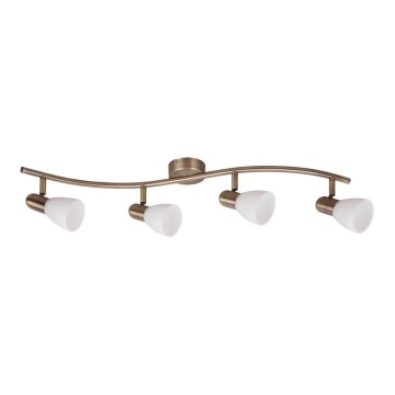 Rabalux - Точковий світильник 4xE14/40W/230V