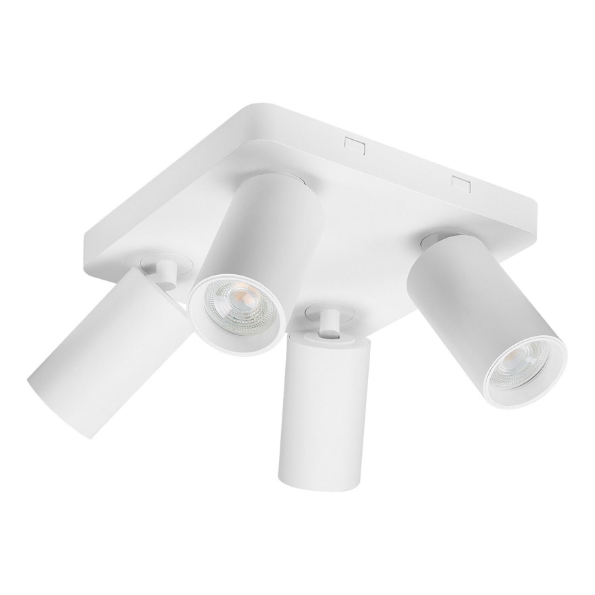 Rabalux - Точковий світильник 4xGU10/7W/230V білий