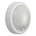 Rabalux - Уличный светодиодный настенный светильник с датчиком LED/15W/230V IP54