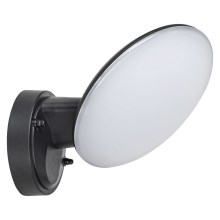 Rabalux - Уличный светодиодный настенный светильник LED/12W/230V IP54