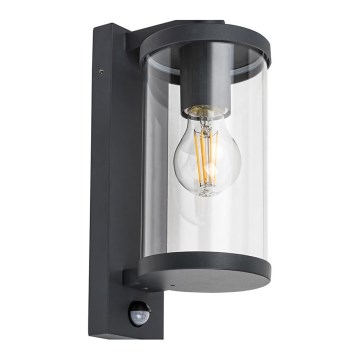 Rabalux - Вуличний настінний світильник з датчиком 1xE27/60W/230V IP44