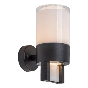 Rabalux - Вуличний світлодіодний настінний світильник LED/12W/230V IP44