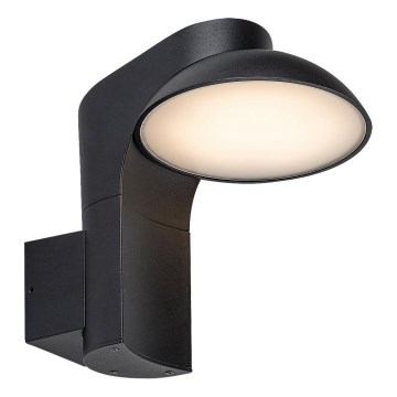 Rabalux - Вуличний світлодіодний настінний світильник LED/12W/230V IP54