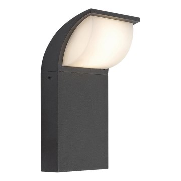 Rabalux - Вуличний світлодіодний настінний світильник LED/9W/230V IP65