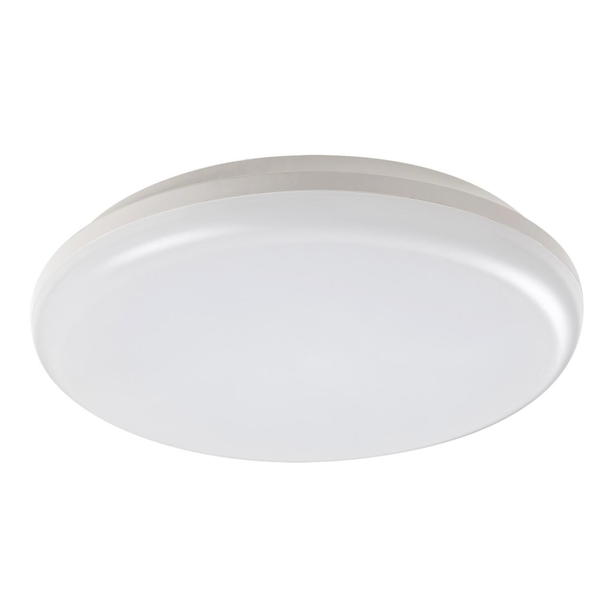 Rabalux - Вуличний світлодіодний стельовий світильник LED/24W/230V IP64