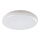 Rabalux - Вуличний світлодіодний стельовий світильник LED/24W/230V IP64