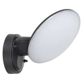 Rabalux - Вуличний світлодіодний настінний світильник LED/12W/230V IP54