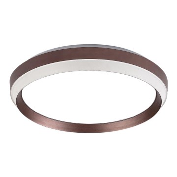 Rabalux - Запасна частина для стельового світильника FONTANA