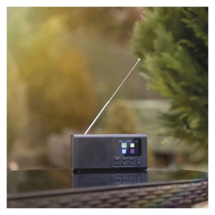 Радио DAB DAB+ FM 3W/5V/4xAA черный