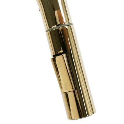REA-B0669 - Змішувач для мийки з висувною лійкою FRESH 39,5 см золотий