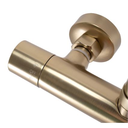 REA-P2323 - Душевой комплект с термостатным смесителем PAROT, шлифованное золото