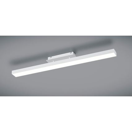 Reality - LED Димерний стельовий світильник AGANO LED/18W/230V біла