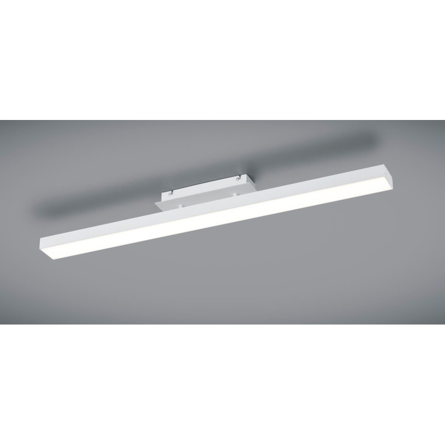 Reality - LED Димерний стельовий світильник AGANO LED/18W/230V біла