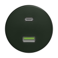 Reblig - Ретро USB-розетка A+C без рамки, зелёная