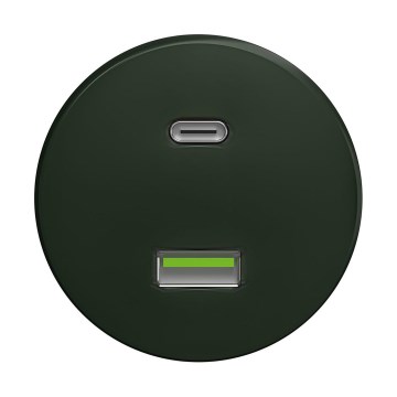 Reblig - Ретро USB-розетка A+C без рамки, зелёная
