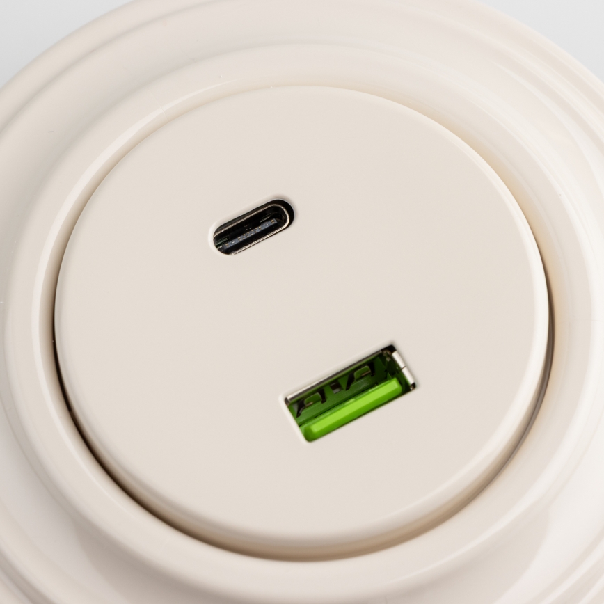 Reblig - ретро USB-розетка A+C з рамкою, бежева