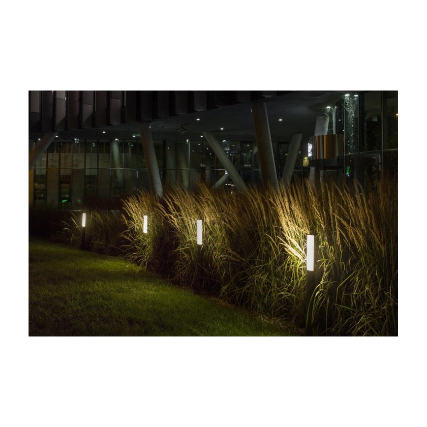 RED - Design Rendl - R10548 - Вулична LED лампа VADIS LED/8W/230V IP54