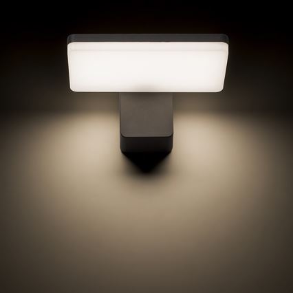 RED - Design Rendl - R11947 - Светодиодный уличный настенный светильник RINA LED/12W/230V IP65