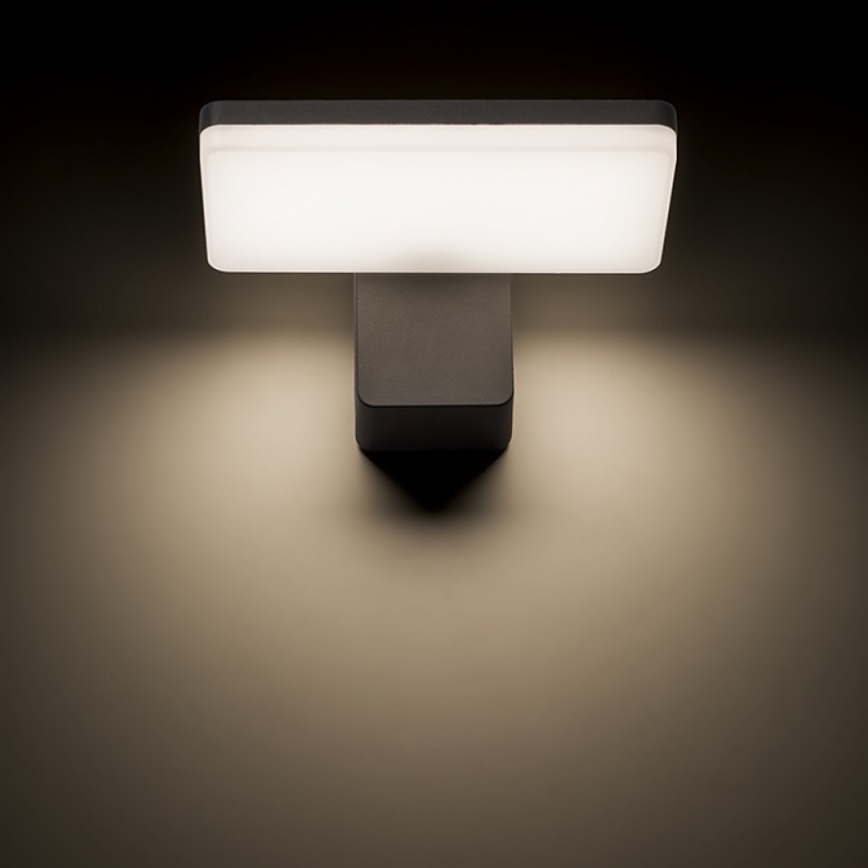 RED - Design Rendl - R11947 - Светодиодный уличный настенный светильник RINA LED/12W/230V IP65