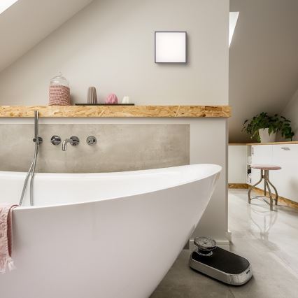 RED - Design Rendl - R11967 - Вуличний стельовий LED світильник BONO LED/4W/230V IP54