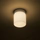 RED - Design Rendl - R12199 - Светодиодный потолочный светильник для ванной комнаты ESICA LED/6W/230V IP44
