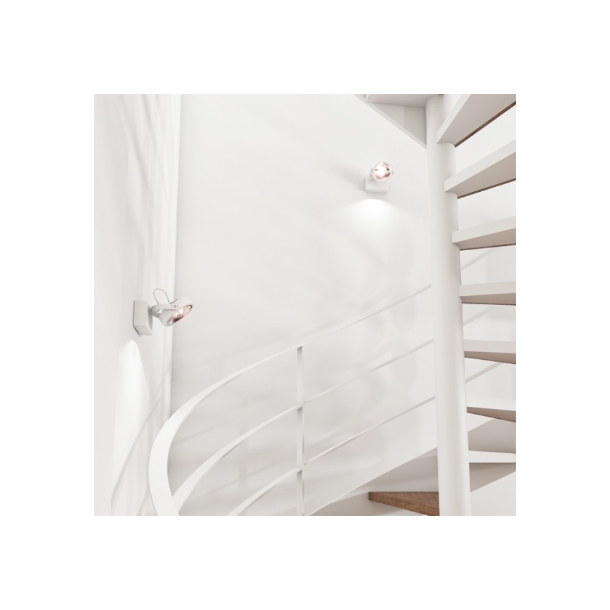 RED - Design Rendl - R12332 - Светодиодный настенный точечный светильник KELLY LED/12W/230V