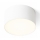 RED - Design Rendl - R12842 - Стельовий LED світильник LARISA LED/10W/230V білий