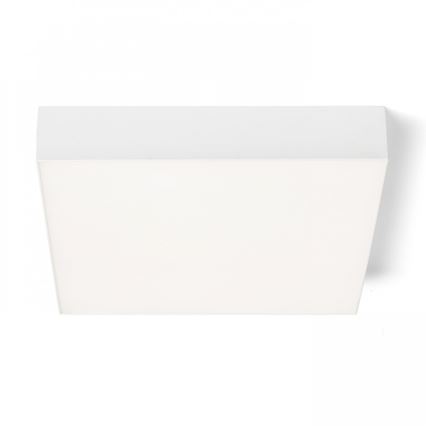 RED - Design Rendl - R12850 - Стельовий LED світильник LARISA LED/30W/230V білий