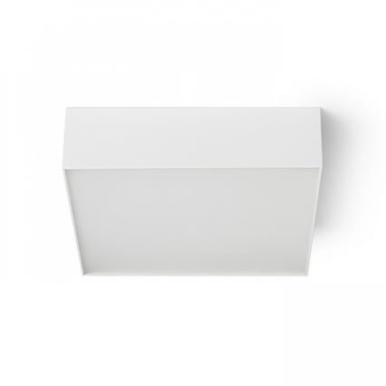RED - Design Rendl - R13487 - Стельовий LED світильник LARISA LED/20W/230V білий