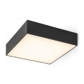RED - Design Rendl - R13488 - Светодиодный потолочный светильник LARISA LED/20W/230V черный