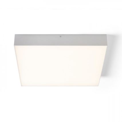 RED - Design Rendl - R13489 - Стельовий LED світильник LARISA LED/50W/230V білий