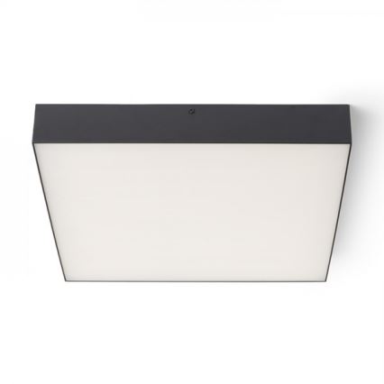 RED - Design Rendl - R13490 - Светодиодный потолочный светильник LARISA LED/50W/230V черный