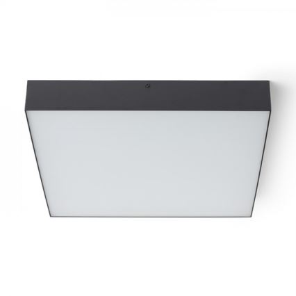 RED - Design Rendl - R13490 - Светодиодный потолочный светильник LARISA LED/50W/230V черный