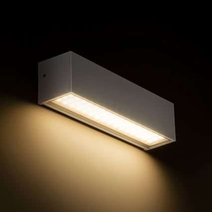 RED - Design Rendl - R13527 - Вуличний настінний LED світильник CAMARGUE LED/6W/230V IP65