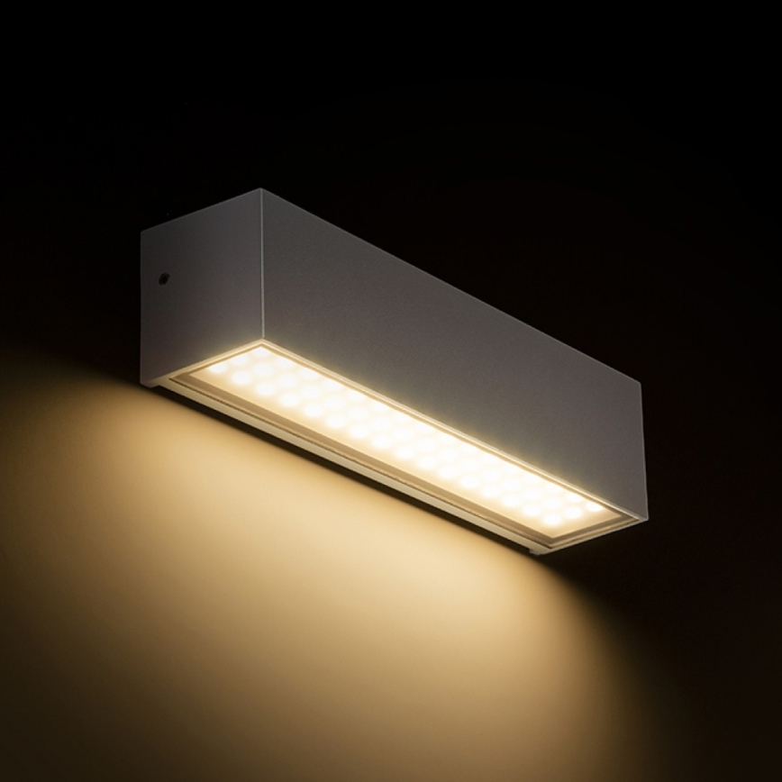 RED - Design Rendl - R13527 - Вуличний настінний LED світильник CAMARGUE LED/6W/230V IP65