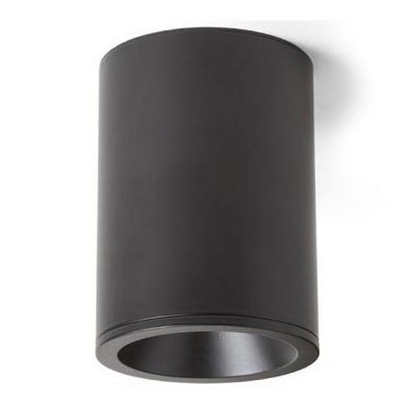 RED - Design Rendl - R13607 - Точечный светильник для ванной комнаты EILEEN 1xGU10/35W/230V IP65