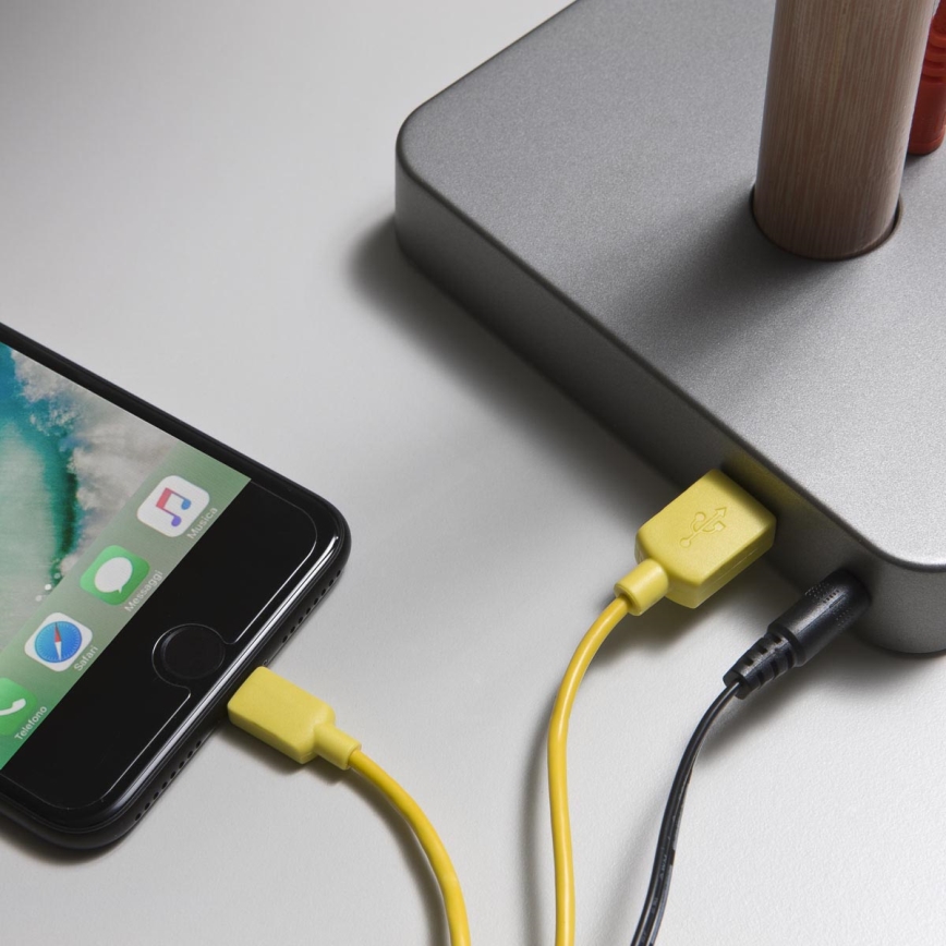 Redo 01-1119 - Сенсорна настільна LED лампа з регулюванням яскравості LED/5W/230V USB