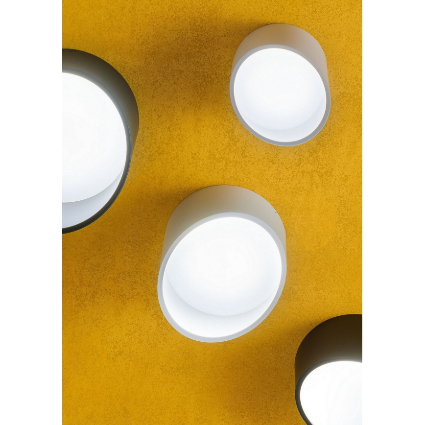 Redo 01-1625 - LED точковий світильник UTO LED/6W/230V діам. 9 см білий