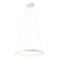 Redo 01-2672 - светодиодная диммируемая подвесная люстра ICONIC на тросе, LED/50 Вт/230 В, диаметр 58 см, белая